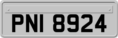 PNI8924