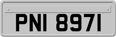 PNI8971