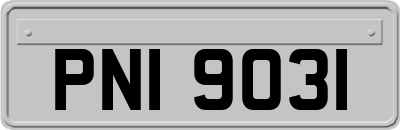 PNI9031