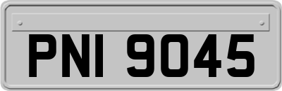 PNI9045
