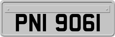 PNI9061