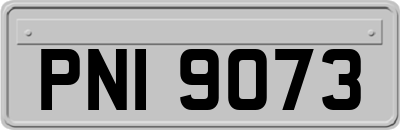 PNI9073