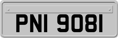 PNI9081