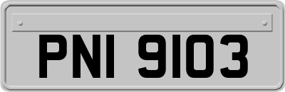 PNI9103