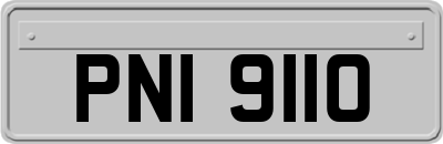 PNI9110