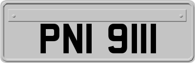 PNI9111