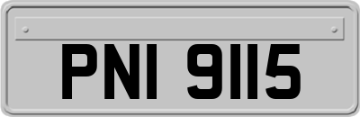 PNI9115