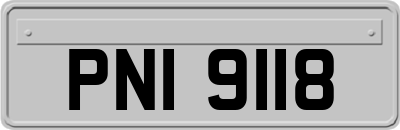 PNI9118