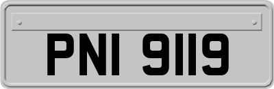 PNI9119