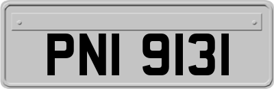 PNI9131