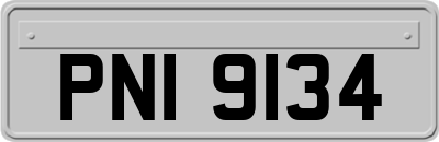 PNI9134