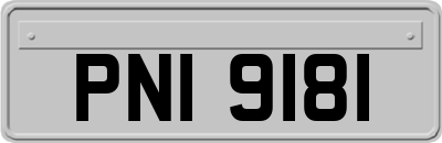 PNI9181
