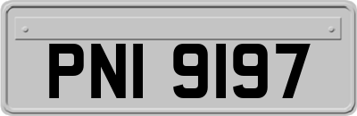 PNI9197