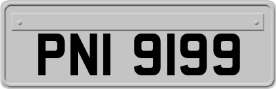 PNI9199