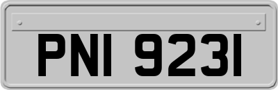 PNI9231