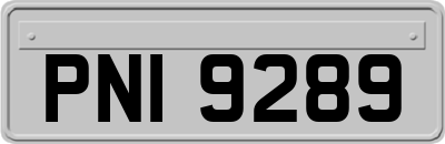 PNI9289