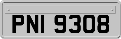 PNI9308