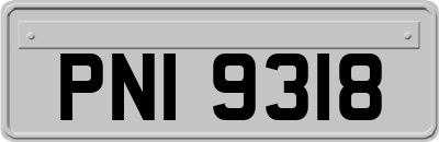 PNI9318