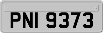 PNI9373