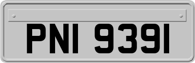PNI9391