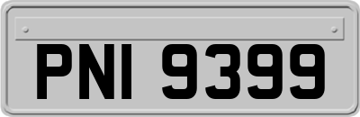 PNI9399