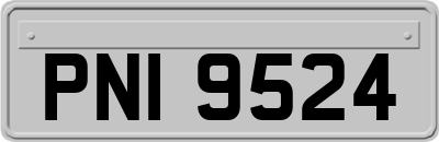 PNI9524