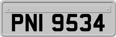 PNI9534