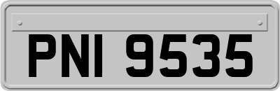 PNI9535