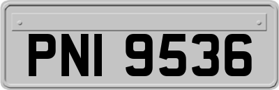 PNI9536