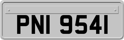 PNI9541