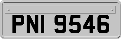 PNI9546