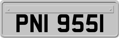 PNI9551