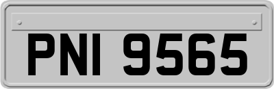 PNI9565