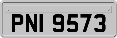 PNI9573