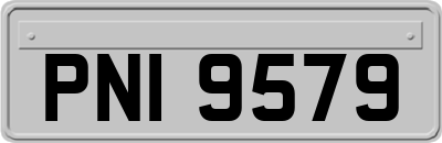 PNI9579