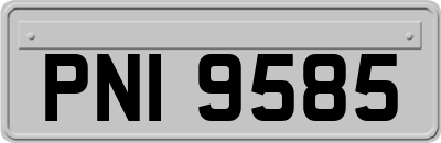 PNI9585
