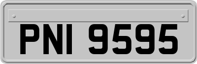 PNI9595
