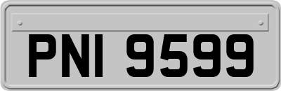 PNI9599