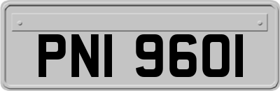 PNI9601
