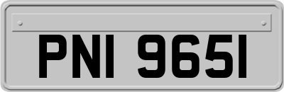 PNI9651