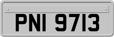 PNI9713