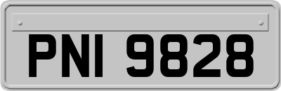 PNI9828