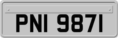 PNI9871