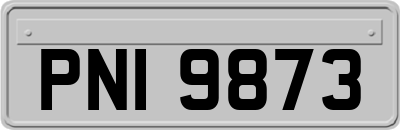 PNI9873