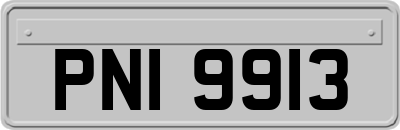 PNI9913