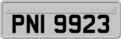 PNI9923