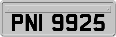 PNI9925