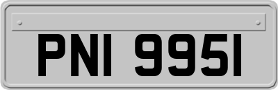 PNI9951