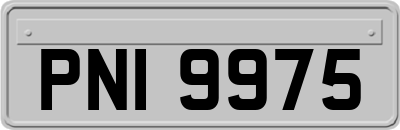 PNI9975