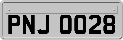 PNJ0028